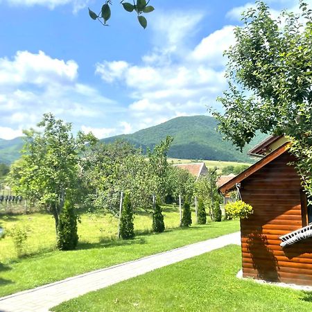 Casa De Vacanta Orlat Zewnętrze zdjęcie